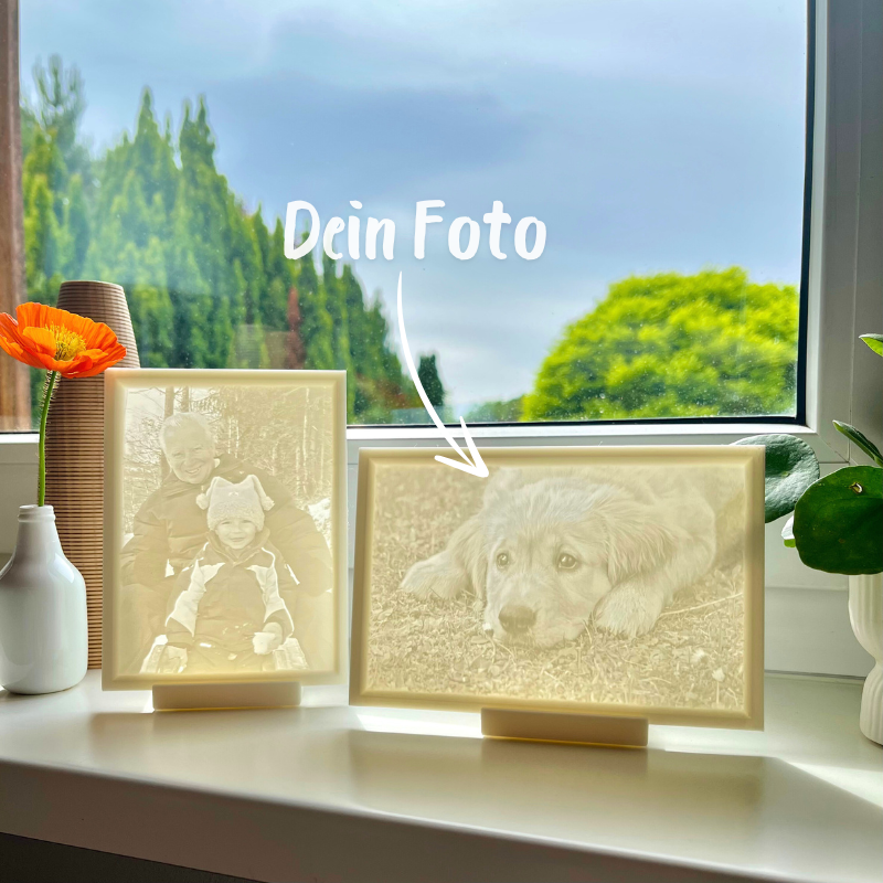 3D-Bild